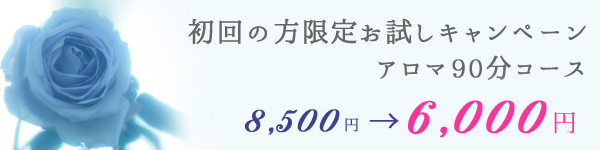 初回お試し価格