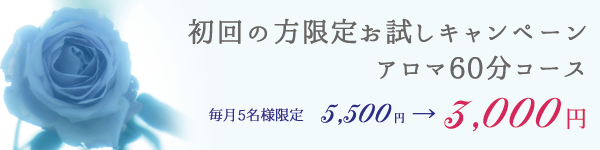 初回お試し価格